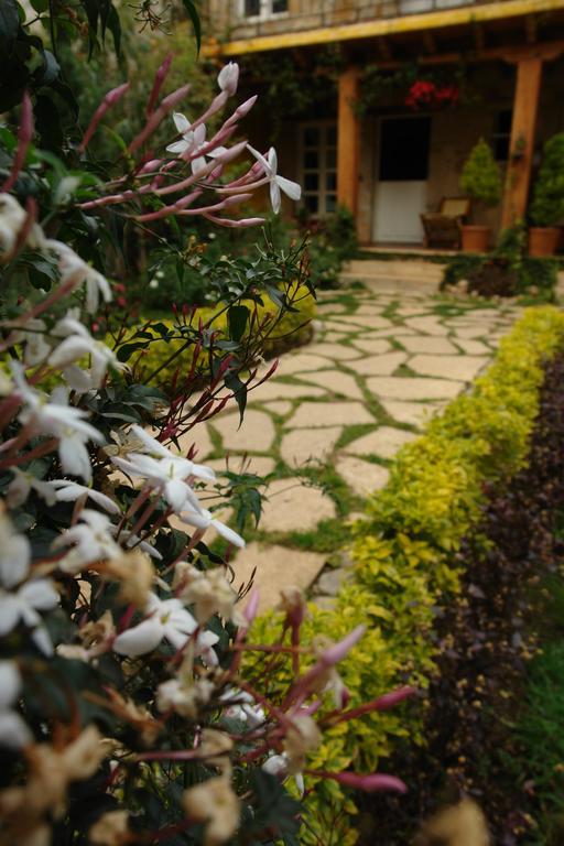 Hotel Posada Primavera San Cristóbal de Las Casas Extérieur photo